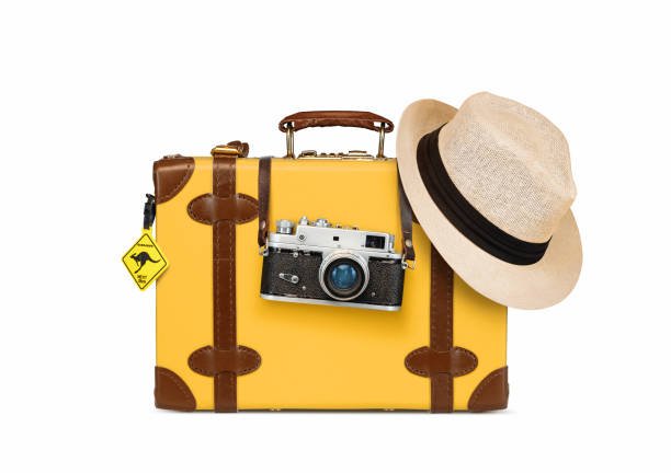 Best Travel Case for Camera Every Photographer Needs