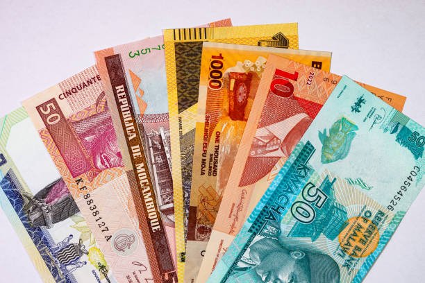 Cato Moneyer Biography And Insights