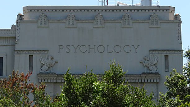 Tyler Mental Health Support for Everyone