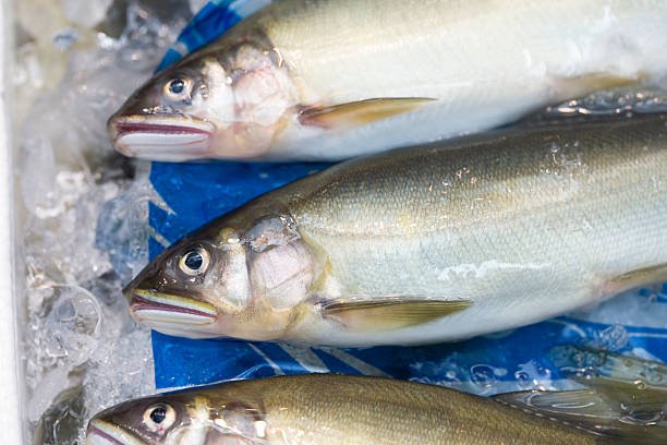 Alaskan Seiti: Powerful Nutrition, Sustainable Fishing, Culinary Uses, Health Benefits Explained