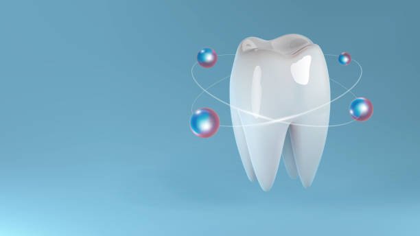 Do You Really Need Molars? Understanding Their Importance for Your Oral Health