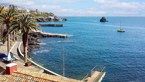 Nikane Madeira: A Modern Digital Design and Lifestyle Concept