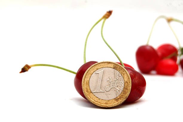 Milohacherry Coin: Exploring the Future of Decentralized Digital Currency