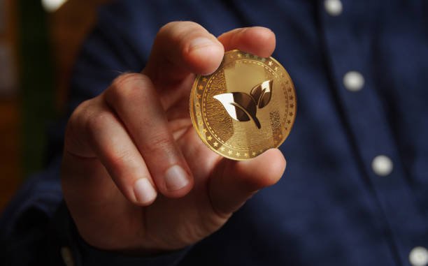 What is Qarden Token: The Ultimate Guide for Investors and Crypto Users